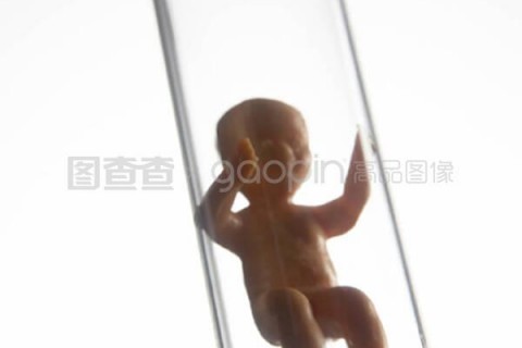 http://hefei.nbgk120.com/post/206.html|合肥新闻中心