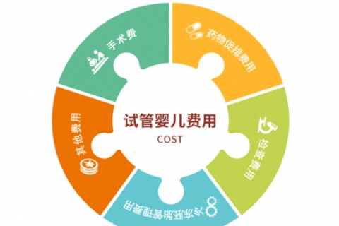 合肥捐卵宝宝肚痛，父母该怎么办？